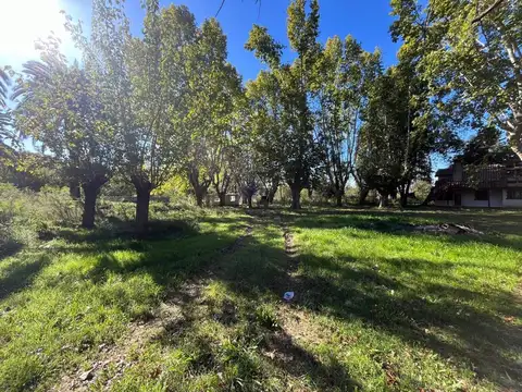 Terreno en Venta de 24460,0 m2