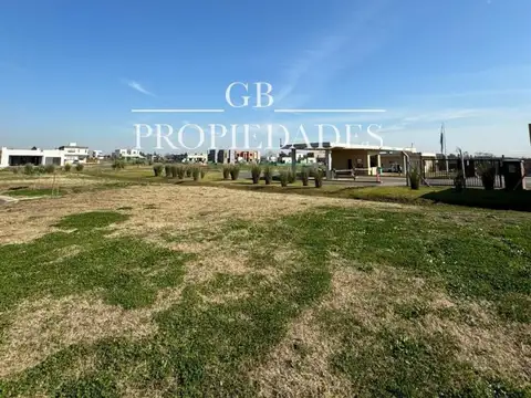 Santa Elisa 3200
