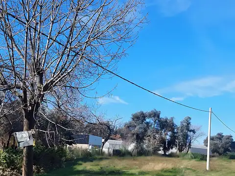 Terreno en Venta 12  mts Frente