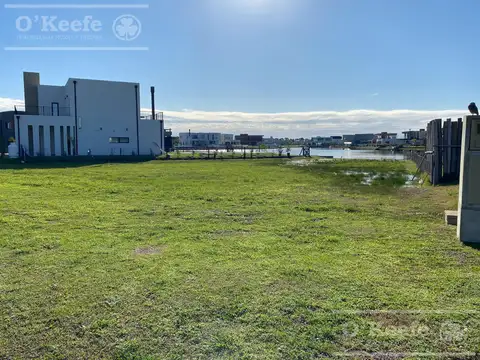 Sebastian Gaboto al 100