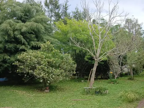 Terreno en Venta 56  mts Frente