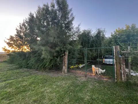 LOTE CON BELLA FORESTACIÓN Y BREVE CONSTRUCCIÓN EN VENTA, GENERAL HORNOS