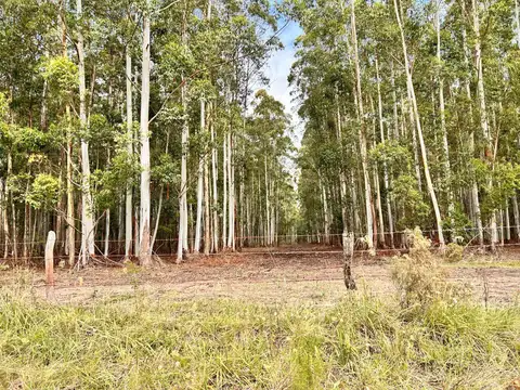 Campo en Pedernal