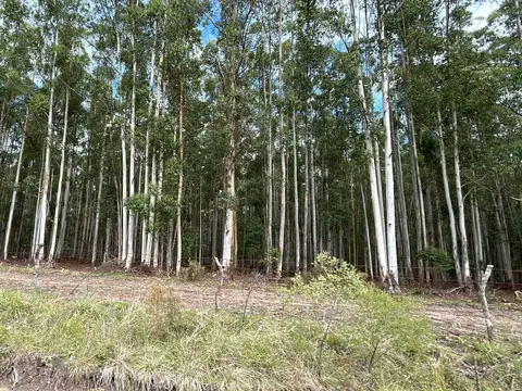 Ruta 14  km 220