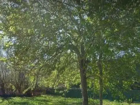 Manuel Belgrano y Solís