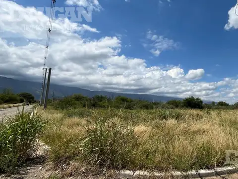 Terreno en Venta 51  mts Fondo