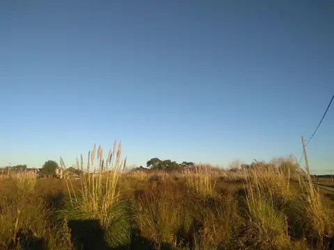 Cramer y Almirante Brown