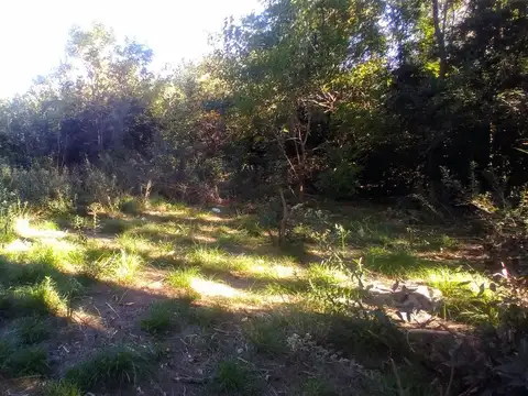 Venta lote en Merlo 690 m2 totales