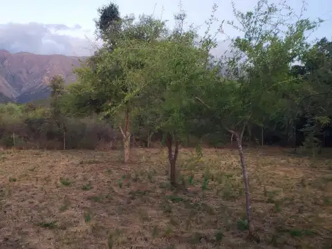 Terreno en Venta de 1600,0 m2