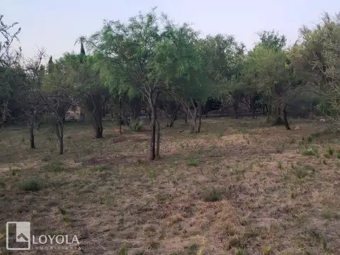 Terreno en Venta 53  mts Frente
