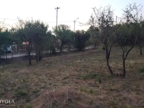 Terreno en Venta 28  mts Fondo