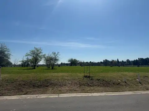 Dr. Manuel Argerich al 1200