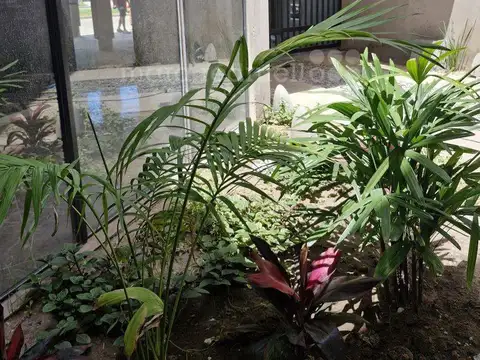 Departamento en Venta al Sur