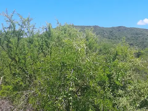 Terreno en Venta de 1101,0 m2