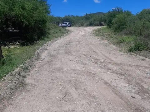 pública