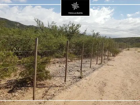 LA RIOJA FINCA 300HAS - APTA VIÑEDOS Y NOGALES