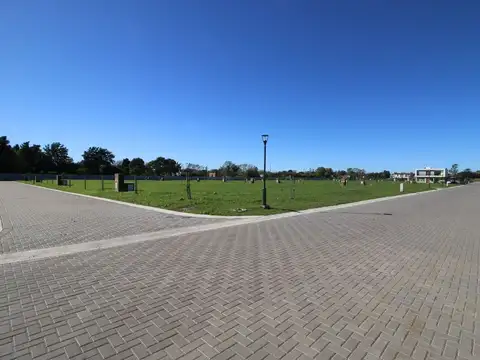 Av. Constitución 700