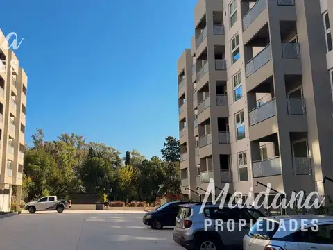 Colectora este km 55