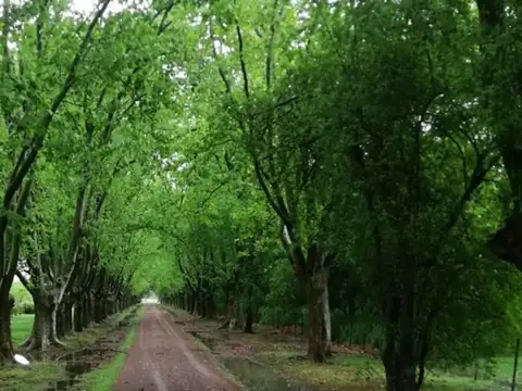 Chacras De San Pablo