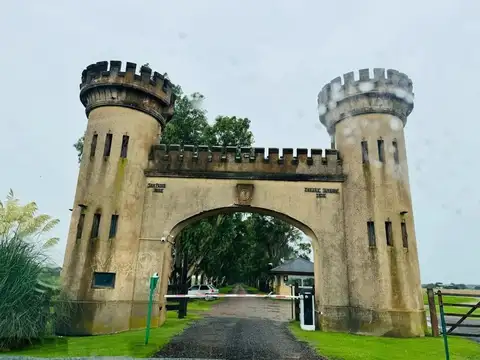 VENTA TERRENO DE 1 HECTAREA EN CHACRAS DE SAN PABLO