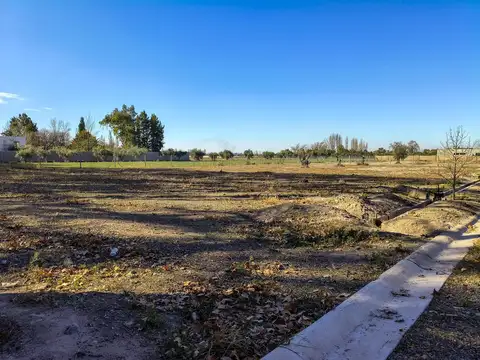 Terreno en Venta 41  mts Fondo