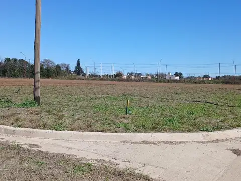 Colonia tirolesa - Los Viñedos