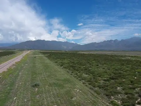 LOTE DE 5.000 M2 SOBRE RUTA 7 - LUJAN DE CUYO