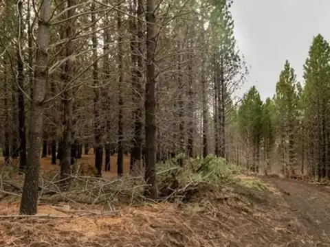 Terreno en Venta de 805,0 m2