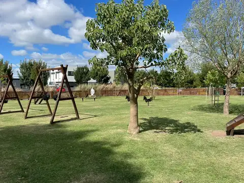 Santo Tomás, Mariano Acosta al 3000