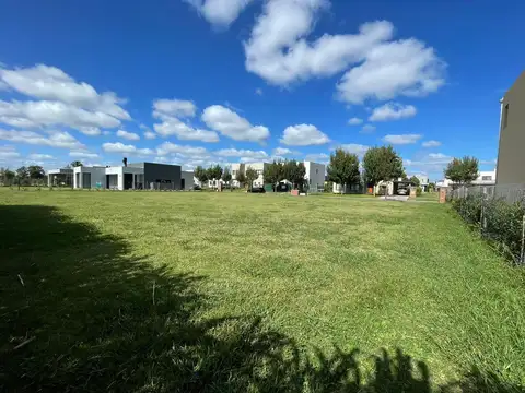 Terreno en Venta 29  mts Fondo