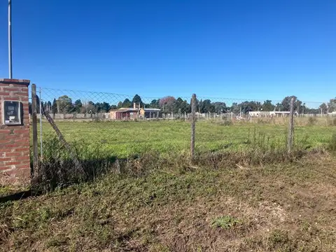 Avenida Del Bosque Y Malvon
