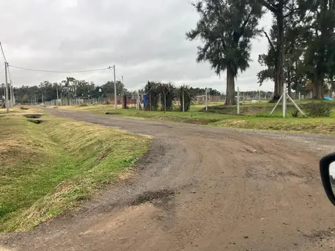 LOTE PARADA ROBLES