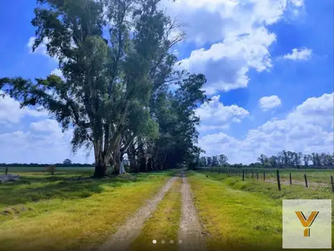 Rosario, Fisherton