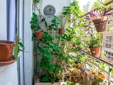 Departamento en Alquiler Temporal de 3 ambientes