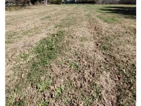 LOTE EN VENTA-ROLDAN- CALLE CASILDA