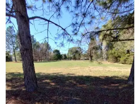 Terreno en Venta 56  mts Fondo