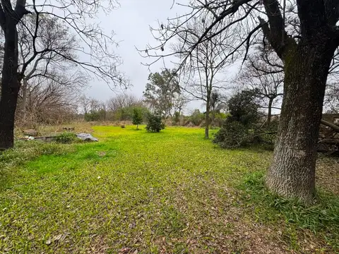 Zona Rural 100