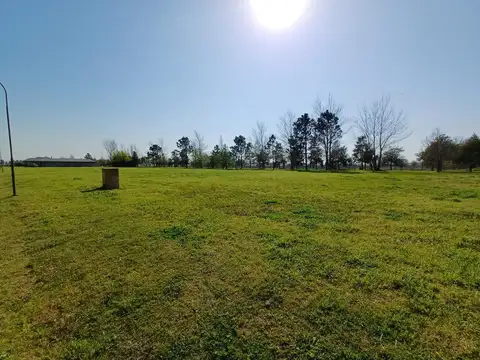 La Rinconada. Avenida Rosario 1100