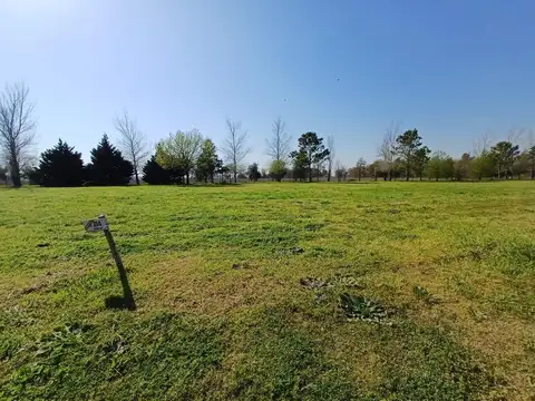 La Rinconada. Avenida Rosario 1100