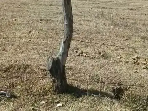 Terreno en Venta en El Rosario, USD 62.000