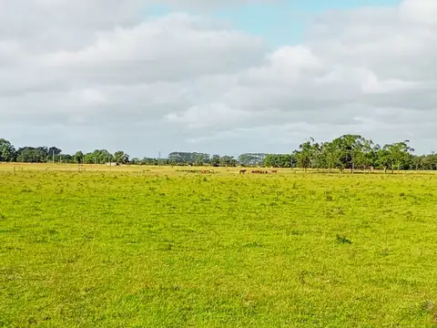 Ruta 15 100