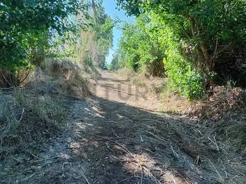VENDO TERRENO LOS CORRALITOS