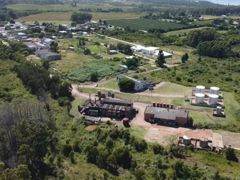 VENTA CHACRA PUNTA YEGUAS 33 HAS