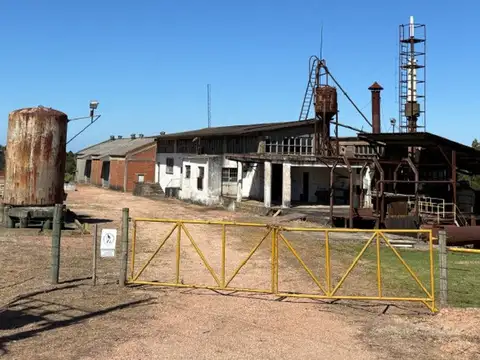 VENTA CHACRA PUNTA YEGUAS 33 HAS