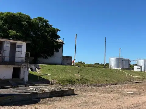 VENTA CHACRA PUNTA YEGUAS 33 HAS