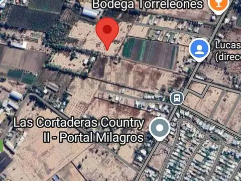 Terreno en Venta de 39000,0 m2