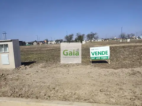 Terreno en Venta 12  mts Frente