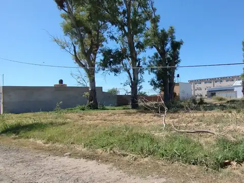 Terreno en Venta 24  mts Fondo