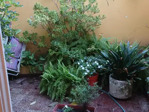 PH de 75 m2. 3 Ambientes en PB c/ 2 patios