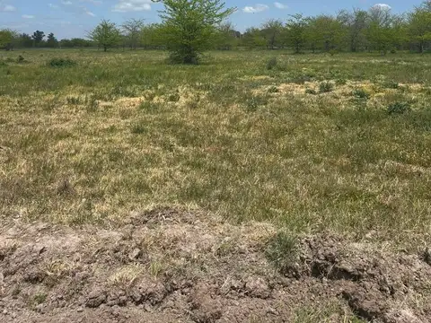 Maipu